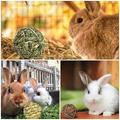 ERKOON Small Animal Activity Play Chew Toys, Rabbit Chew Ball Timothy