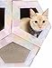 Friends Forever Cat Cardboard Scratcher House Polygon Maze Cats Corner Play Toy Furniture Scratch Pad Post