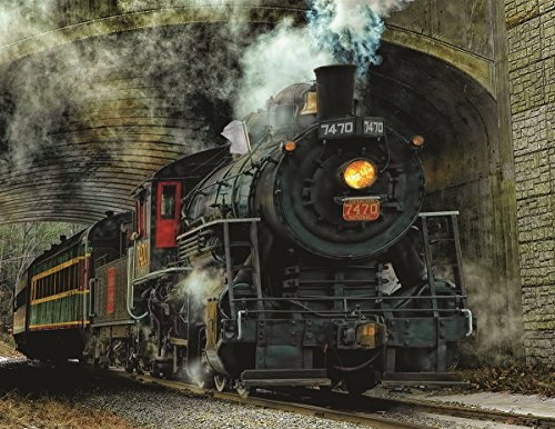 Springbok Puzzles Green Mountain Express Jigsaw Puzzle (100 Piece)