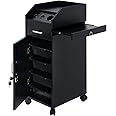Winado Hair Salon Storage Cart with Wheels & 3 Hair Dryer Holders & 4 Drawers & Lock & 2 Keys, Hairdressing Tools Station Mobile Makeup Case, SPA Utility Trolley (Black)