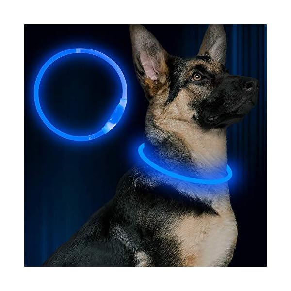 bseen led dog collar