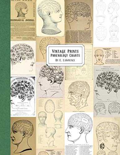 Vintage Prints: Phrenology Charts