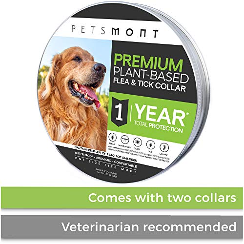 Petsmont Flea Collar for Dogs, Tick Collar for Dogs, Flea and Tick Collar for Dogs, Dog Flea Collar, Unique Plant Based Formula, Small to Extra Large, 1 Year Protection, Stone Gray Color