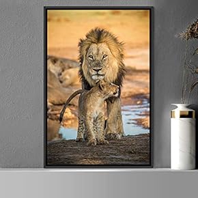 signwin Framed Canvas Wall Art Lions Animals Chic...