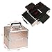 Makeup Train Cases Professional Large Make Up Boxes Artist Organizer Kit Makeup Cases (Gold) [ US STOCK ]