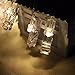 Warmoor 30 LED Photo Clips String Lights, 3M 10ft Fairy Starry Lights Wall Decoration Light for Hanging Photos Paintings Pictures Cards Memos, Battery Powered, Warm White