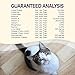 Wellness Natural Pet Food Complete Health Grain Free Dry Indoor Salmon & Herring Cat Food, 5.5 lb