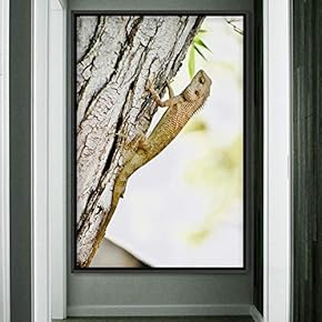 signwin Framed Canvas Wall Art Reptile Contemporary Dramatic...