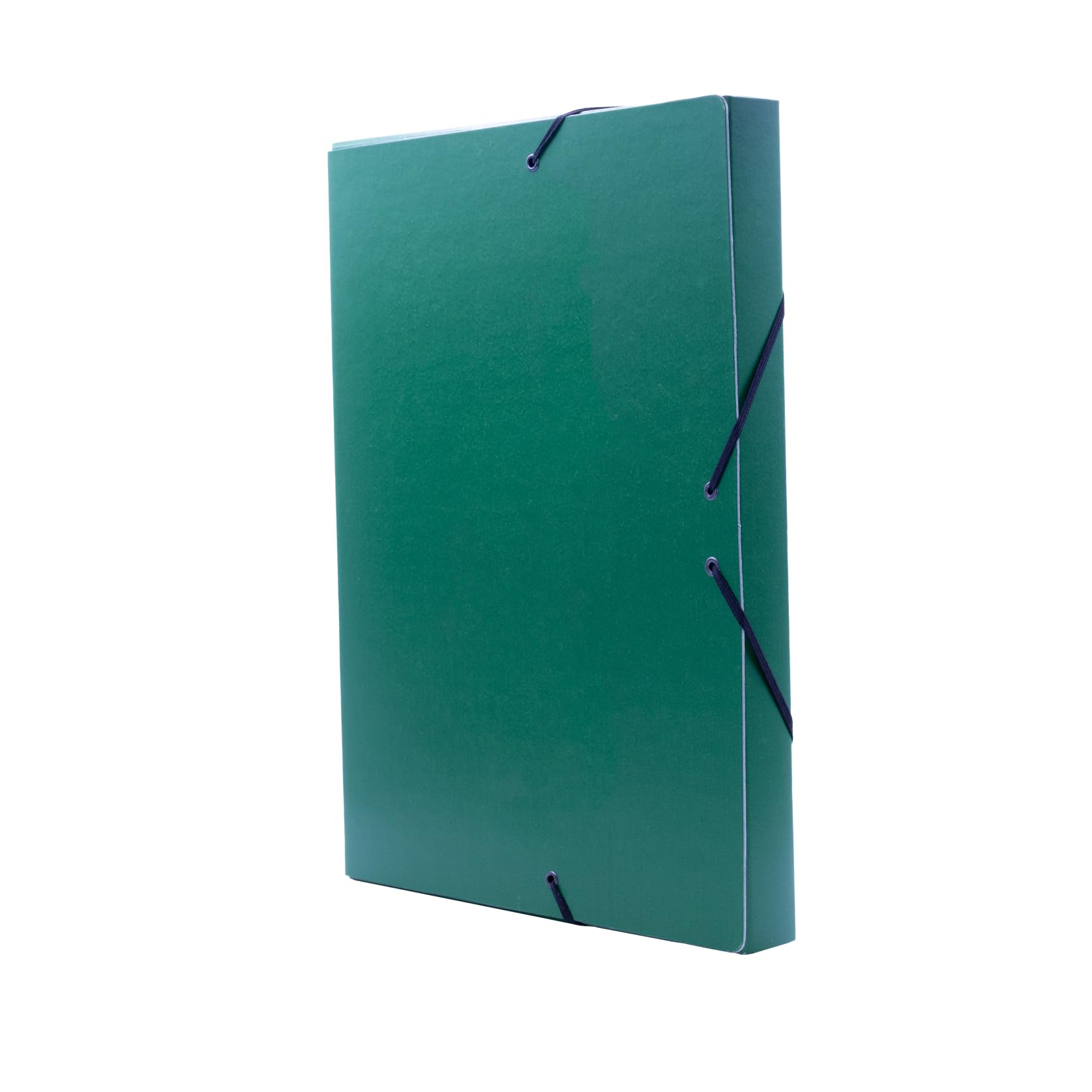 Raylu Paper A4 Matte Project Folder with 3 cm Spine, Sturdy Cardboard Folder and Elastic Closure for School or Office Projects, File Folder Size 34 x 24 cm (Green)