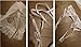 Coxeer Lace Garter Belt Panties & Sheer Stockings Lingerie Set For Women's (White)