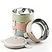 Spill Proof Dog Cat Travel Bowl Portable 304 Stainless Steel Multiple Layers Pet Water Food Storage Container with Invisible Handle for Pet Outdoor Traveling Raised Feeding (4 Layer)
