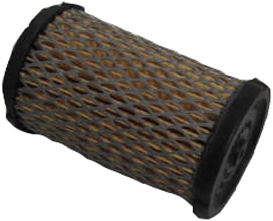 Tecumseh 34700B Air Filter