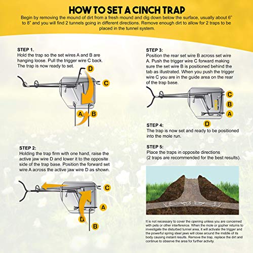 Cinch Mole Trap with Tunnel Marking Flags, Heavy Duty Reusable Rodent