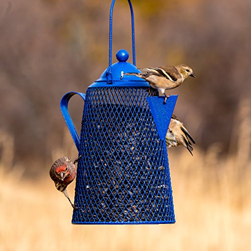 Perky Pet CFE101 Coffee Pot Mesh Bird Seed Feeder Pricepulse