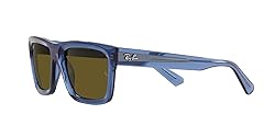 Ray-Ban Men's RB4396 Warren Rectangular