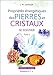Les Propriétés énergétiques des pierres et des cristaux : Tome 2, Se soigner by