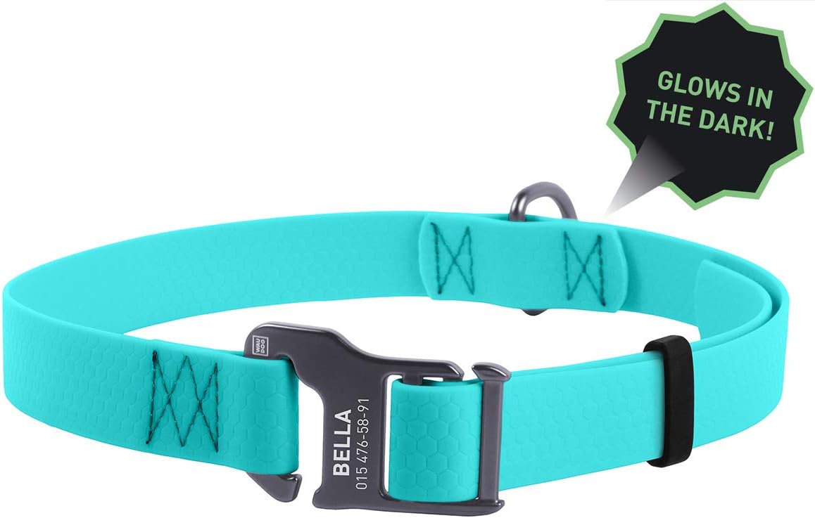 my dog has a cracked paw pad