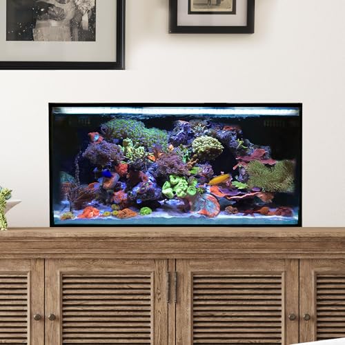 Innovative Marine Lagoon Aquarium