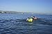 Speed Hound Triathlete's #1 Choice Swim Buoy (Safety Orange, X-Large 28L)