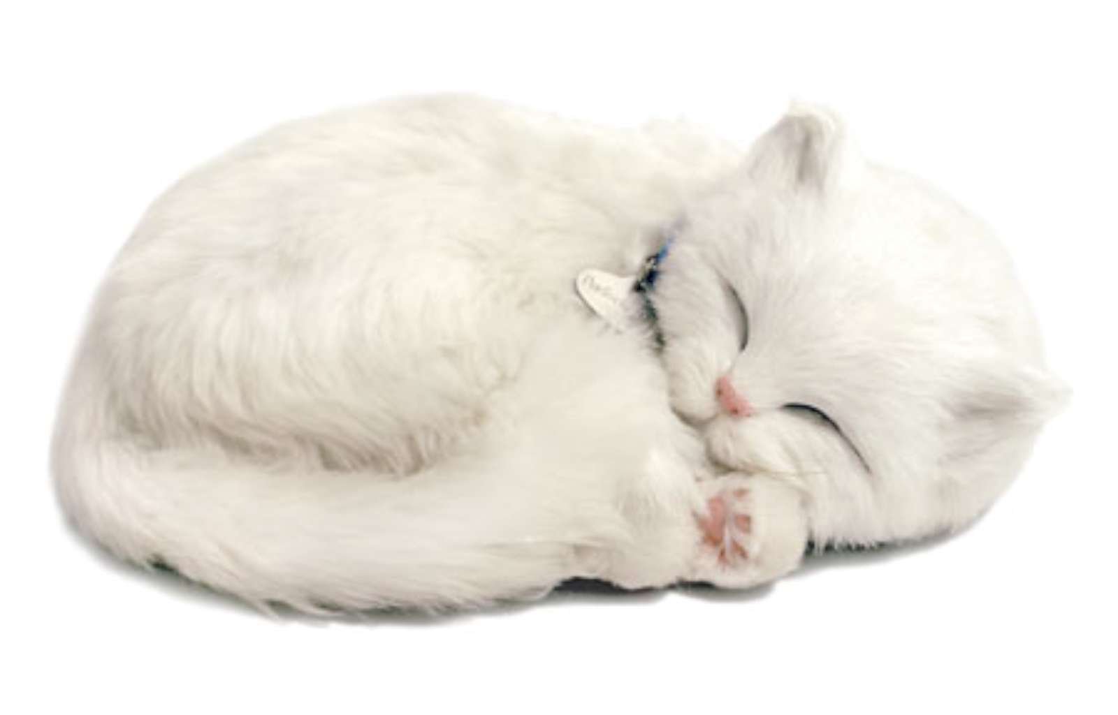 Perfect Petzzz 4934 Cat Plush – White