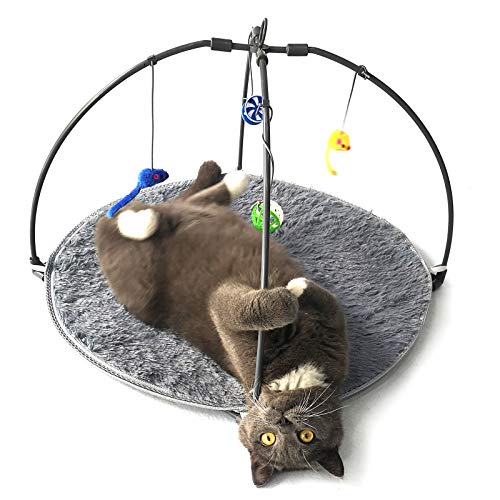 Winsterch Cat Toys Interactive Activity Center Play Mat with Hanging