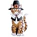 Collections Etc Thanksgiving Harvest Animal Garden Stakes, Cat