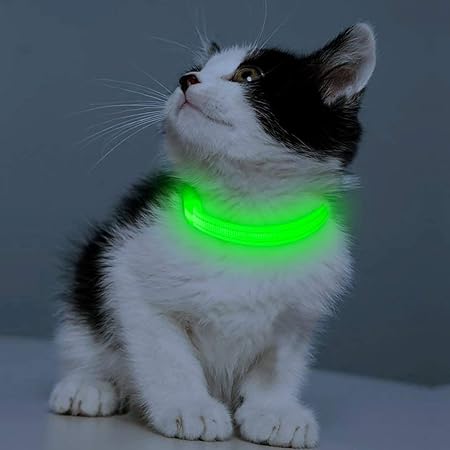 collars for long haired cats