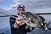 Sougayilang Fishing Lures Wobbler Fish Topwater Lure Swimbait Crankbait Minnow Artificial Bait with Hooks Carp Pike Bass Fishing Tackle Tool