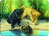 River's Edge Tempered Glass Cutting Board with Image of Cute Lab Puppies Watching Over Ducklings on a River Bank (Lab Puppies, 16-Inchx12-Inchx.5-Inch)