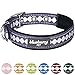 Blueberry Pet Reflective Jacquard Dog Collar with Neoprene Padding & Metal Buckle | Soft & Adjustable Safety Collar - Purple Grey, Neck 17-20.5