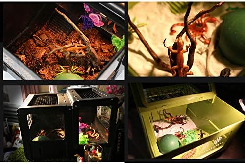 乾燥プラットフォーム付きのカメタンク 爬虫類テラリウム水陸両生生息地カメの別荘 リザードカメレオンカエル飼育ボックス 掃除が簡単 B081zpxp6b 17 862円 人気海外一番 100 品質保証 全品送料無料 即日出荷 Sale開催中 乾燥プラットフォーム付きのカメタンク 爬虫類テラリウム水陸両生生息地カメの別荘 リザードカメレオンカエル飼育ボックス 掃除が簡単 B081zpxp6b 17 862円 人気海外一番 100 品質保証 全品送料無料 即日出荷 Sale開催中