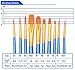 Artist Paint Brushes Xpassion 10 Pieces Nylon Hair Acrylic Brushes with Paint Tray Palettes Plastic 2 Pieces for DIY Craft Professional Art Painting School Coloring Supplies