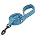 Pettom Dog Leash Pet Durable Padded Leash Strap for Puppy Pet Leash Rope(Large 6.5Ft, Blue)