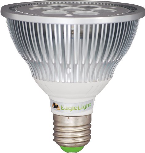 Dimmable PAR30 LED Spot Light 9 Watts (replaces 75 Watt Bulb): Cool White