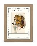 Cavallini 18-Pack Vintage Cat Bookplates