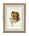 Cavallini & Co. Vintage Dog Ex Libris Bookplate Set