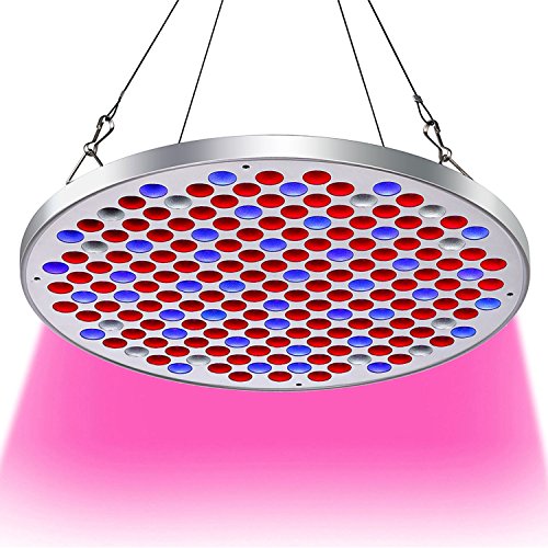50W LED Grow Light,Upgrade UFO Plant Grow Lights 177 LEDs with Big Chip Grow Lamp Indoor Plants Growing Light Bulbs with Swicth for Germination,Vegetative &Flowering by Niello