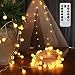 AMARS 33ft Battery Powered Globe String Lights with Remote Timer Room Hanging Bedroom Tapestry Decoration Fairy Lights for Indoor, Outdoor, Party, Garden - 8 Modes, Waterproof, Dimmable (Warm White)