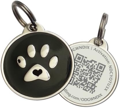 hills science plan kitten dry food