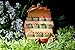 Pretmanns Fairy Garden Accessories Kit – Miniature Garden Fairy, Vegetable Stand (5”High), Scarecrow & Vegetable Collections – Colorful 5 Piece Fairy Garden Set