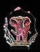 VG Engraved Lead Crystal - Elephant