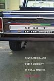 Out in the Country: Youth, Media, and Queer Visibility in Rural America (Intersections)