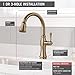 Delta Faucet Cassidy Single-Handle Kitchen Sink Faucet with Pull Down Sprayer, ShieldSpray Technology and Magnetic Docking Spray Head, Champagne Bronze 9197-CZ-DST