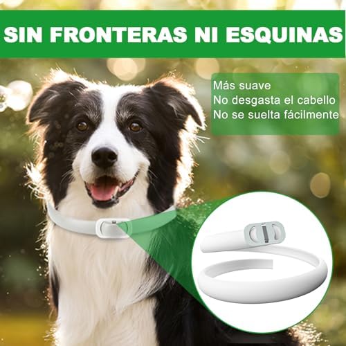 Collar Antiparasitario Perros, Seguro y Eficaz Collares Antiparasitos Perros, 12 Meses de Eficacia Collar Antipulgas Perro de 65 cm para Perro Pequeños, Medianos y Grandes (65cm*2)