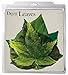 EuroQuest Imports EuroQuest Spring Deco Parchment Leaves (Pack Of 20)
