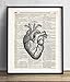 Vintage Anatomy Illustration Art, Dictionary Print, Antique Wall Art Home Decor, Modern Boho, Medical Posters, Farmhouse Decoration 8x10 Inches, Ready To Frame (Heart)