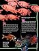 100 Facts Coral Reef