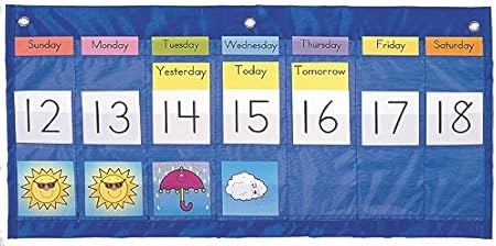 Carson Dellosa Weekly Calendar with Weather Pocket Chart (5636): Amazon ...
