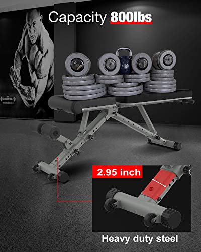 BARWING Adjustable Weight Bench- 800 lbs Folding Full Body Workout Bench with Dragon Flag, Automatic Lock Multi-Purpose Incline/Flat/Decline Bench for Home Gym Strength Training Gray