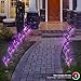 Sorbus LED Flower Light Lily Stakes, 2 Pack Solar Multi-Color Changing 8 LED Outdoor Garden Flowers,Lawn, Garden, Patio, Night Lighting, Path Walkway, Gravestone, Wedding (2 Purple Color Changing)